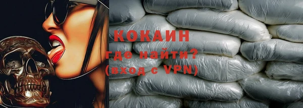 гашик Алзамай