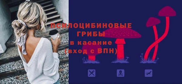 гашик Алзамай