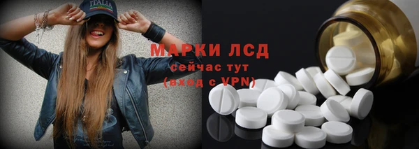 винт Лабытнанги
